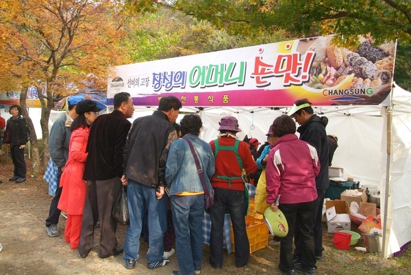 제12회 백양단풍축제
