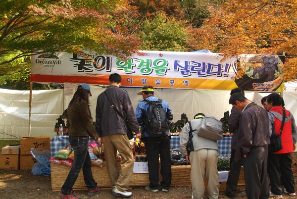 제12회 백양단풍축제