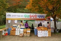 제12회 백양단풍축제