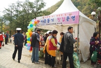 제12회 백양단풍축제