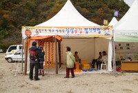 제12회 백양단풍축제