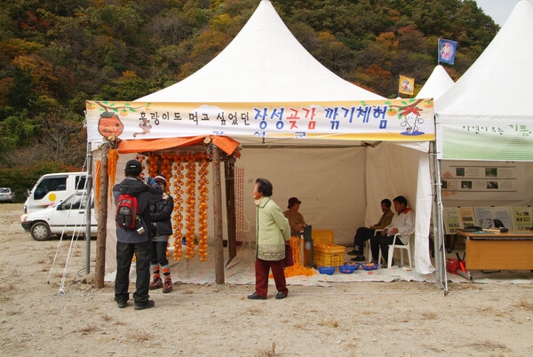 제12회 백양단풍축제