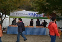 제12회 백양단풍축제