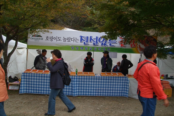 제12회 백양단풍축제