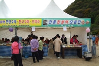 제12회 백양단풍축제