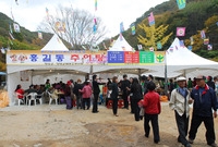 제12회 백양단풍축제