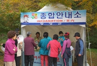 제12회 백양단풍축제