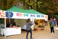 제12회 백양단풍축제
