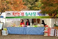 제12회 백양단풍축제