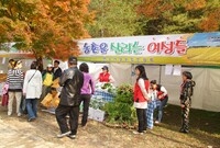 제12회 백양단풍축제