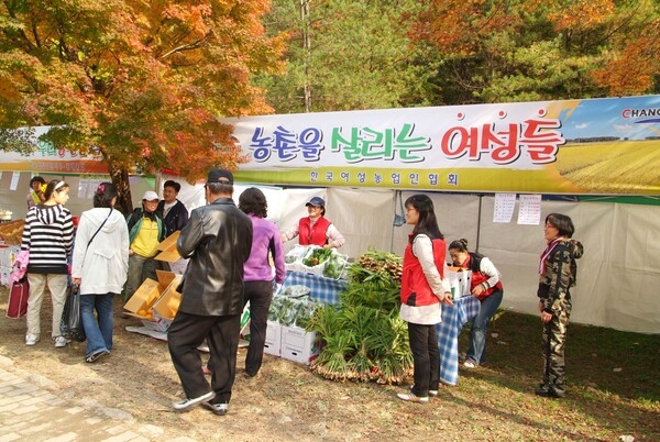 제12회 백양단풍축제