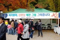 제12회 백양단풍축제