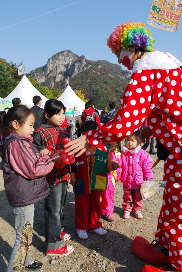 제12회 백양단풍축제