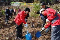 제63회 식목일 나무심기 ...