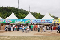제10회 장성홍길동 축제