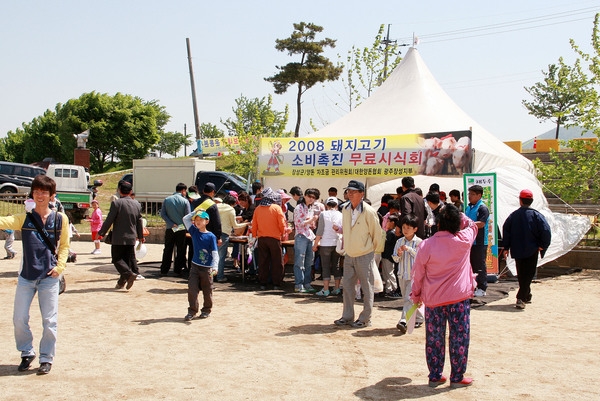 제10회 장성홍길동 축제