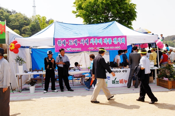 제10회 장성홍길동 축제