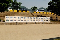 제10회 장성홍길동 축제