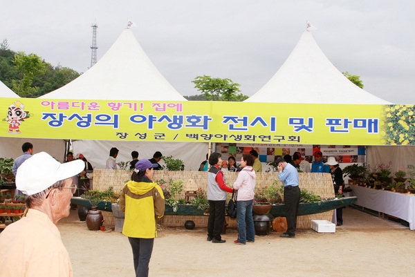 제10회 장성홍길동 축제