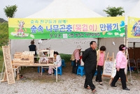 제10회 장성홍길동 축제