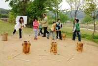 제10회 장성홍길동 축제