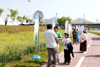 제10회 장성홍길동 축제