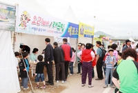 제10회 장성홍길동 축제