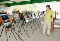 제10회 장성홍길동 축제