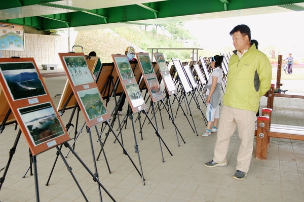 제10회 장성홍길동 축제