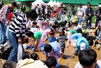 제10회 장성홍길동 축제