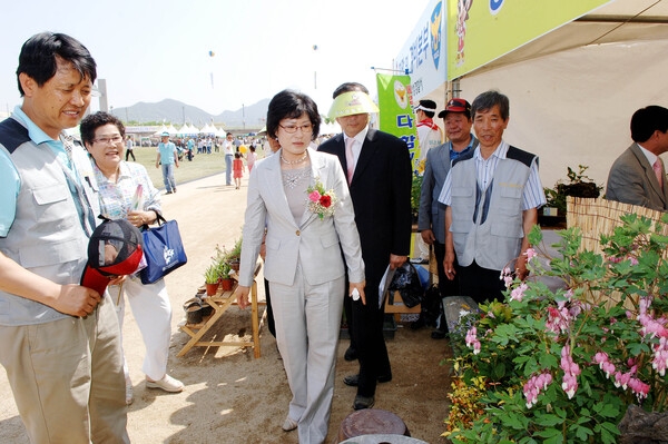 제10회 장성홍길동 축제