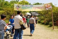 제10회 장성홍길동 축제