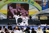 제10회 장성홍길동 축제