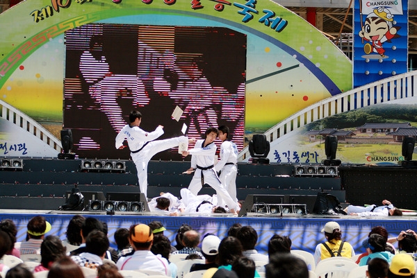 제10회 장성홍길동 축제