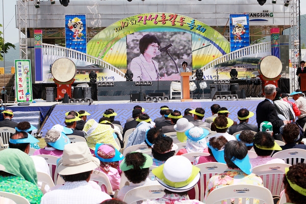 제10회 장성홍길동 축제