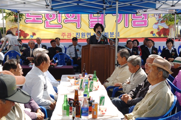 제12회 노인의날 기념행사(진원면)