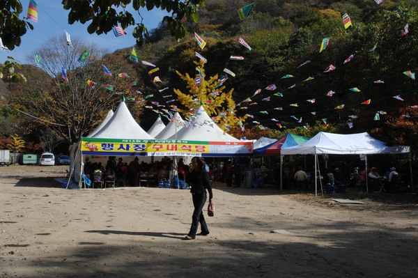 제13회 장성백양단풍축제