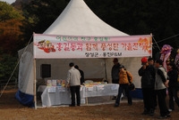 제13회 장성백양단풍축제