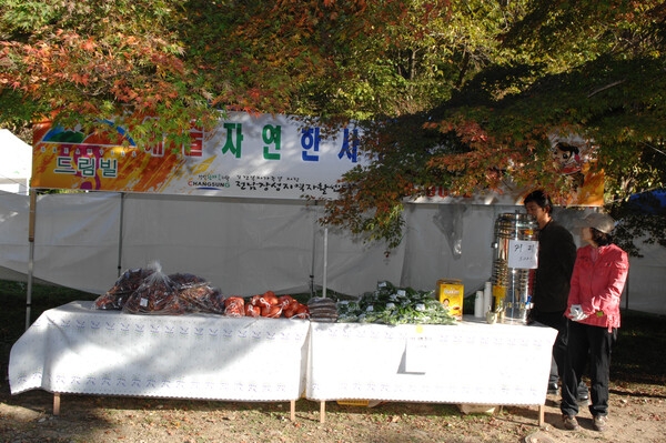 제13회 장성백양단풍축제