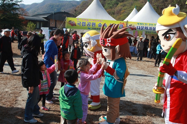 제13회 장성백양단풍축제