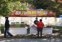 제13회 장성백양단풍축제
