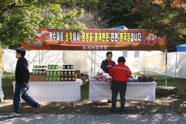 제13회 장성백양단풍축제