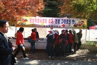 제13회 장성백양단풍축제