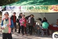 제13회 장성백양단풍축제