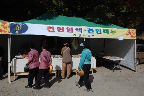 제13회 장성백양단풍축제