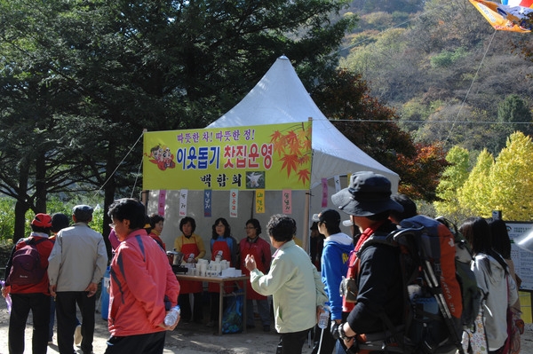 제13회 장성백양단풍축제