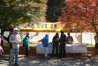 제13회 장성백양단풍축제