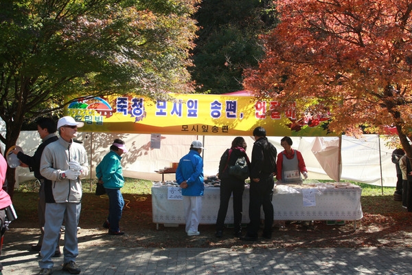 제13회 장성백양단풍축제