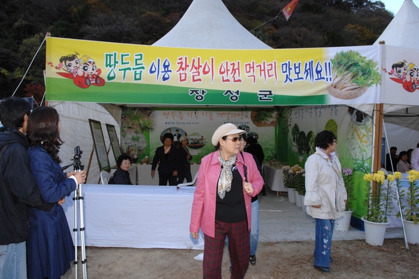 제13회 장성백양단풍축제