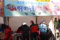 제13회 장성백양단풍축제